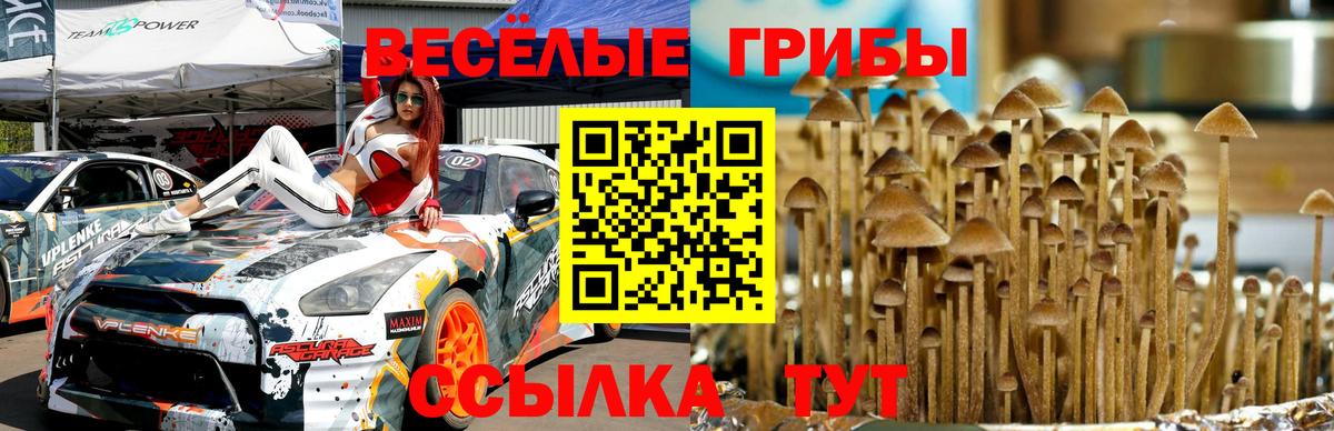 Нижний Новгород  Псилоцибиновые грибы Magic Shrooms  Вход с VPN 