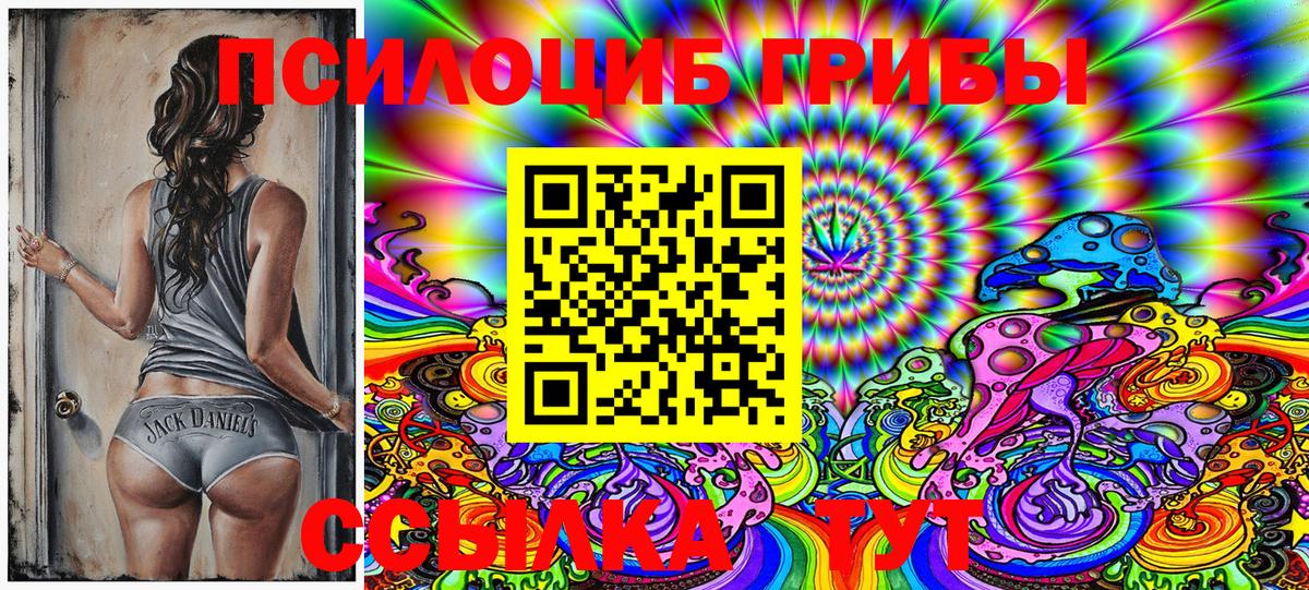 Галлюциногенные грибы Psilocybine cubensis Нижний Новгород